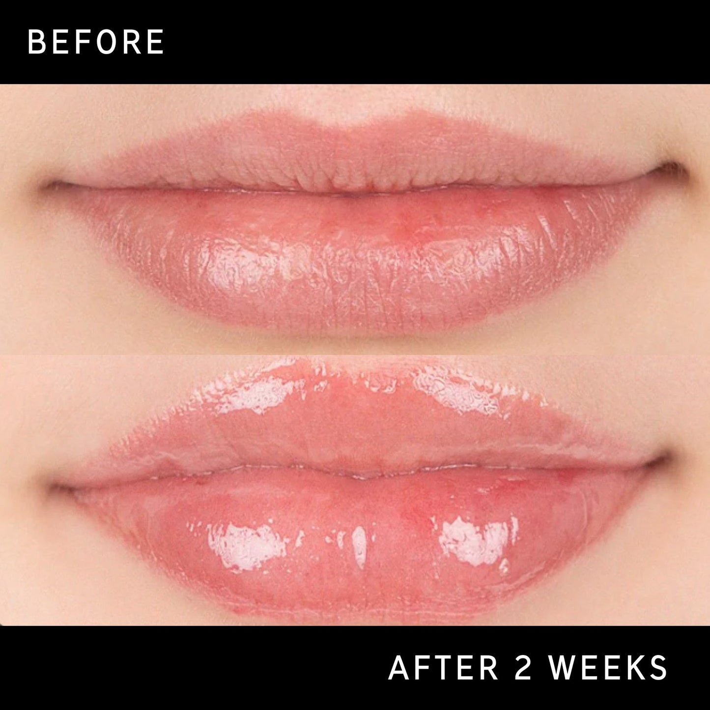 tripeptide-plumping-lip-balm-t4 DTC-Top15_Amends_Tripeptide-Lip_B_A.jpg